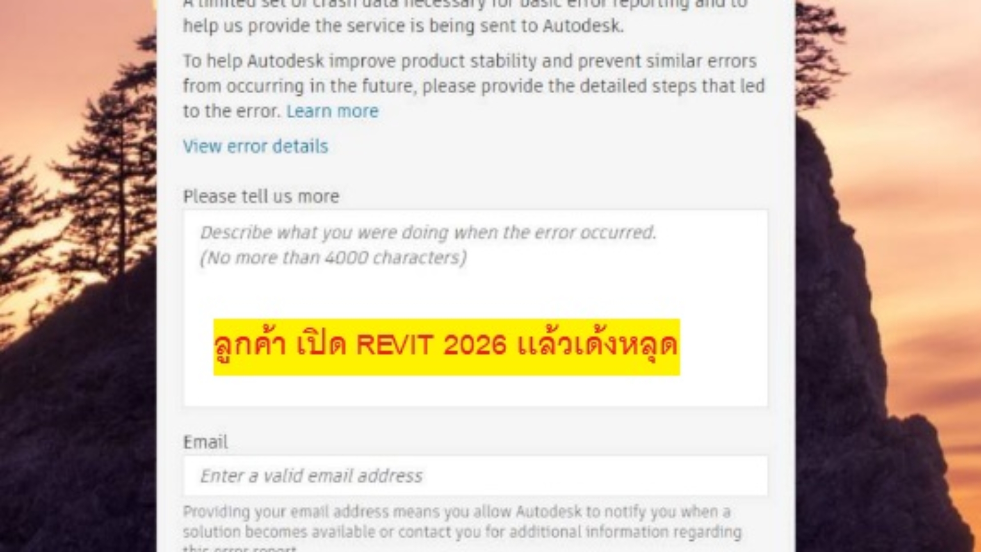 REVIT2026ERRORWHENOPENDRIVERPRINT